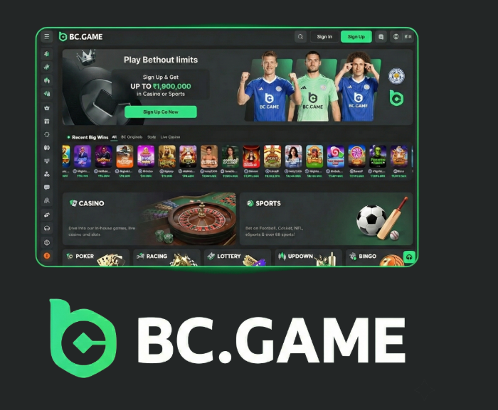 Exploring BC.Game Crypto Casino Your Gateway to Online Gaming