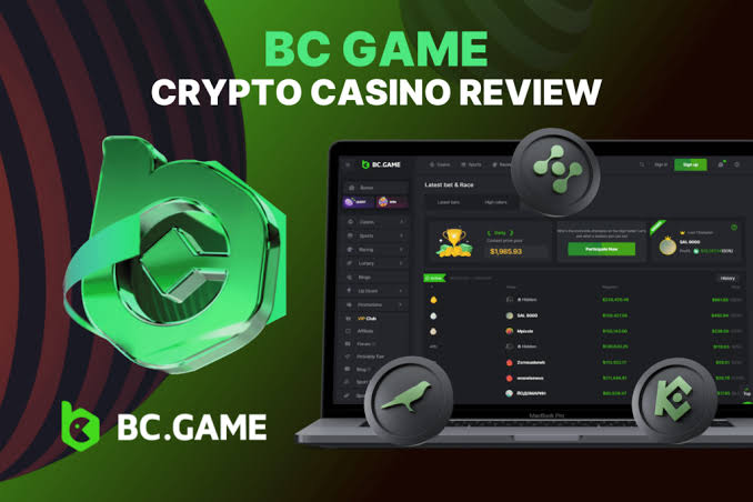 Exploring BC.Game Crypto Casino Your Gateway to Online Gaming